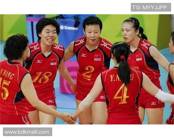 武汉排球队的战术风格与赛季表现深度分析与解读