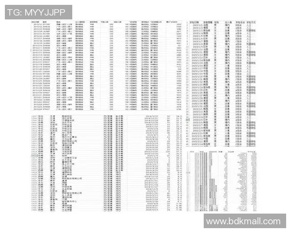深入解析上海篮球队的技术表现与数据分析探讨